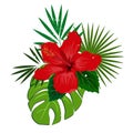 Bouquet composition with red hibiscus flower and palm leaves, flat vector illustration. Tropical exotic Hawaii plants Royalty Free Stock Photo