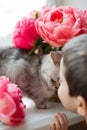Bouquet coral peonies and grey cat