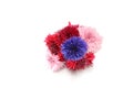 Bouquet of cornflower isolated on a white background. Royalty Free Stock Photo