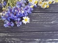 Bouquet of cornflowers, border daisy fresh petal natural chamomile on a black wooden background beauty