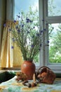 Bouquet of Cornflowers in Pot and Mushrooms in Basket on Table Royalty Free Stock Photo