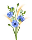 Bouquet of cornflowers and wheat. Vector illustration. Royalty Free Stock Photo