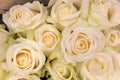 Bouquet of cream-white roses Royalty Free Stock Photo