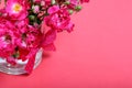 Bouquet of crimson roses in a glass vase with a bow. Royalty Free Stock Photo