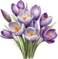 a bouquet of Crocus flowers. AI-Generated.