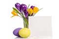 Bouquet from crocus flowers in vase and easter eggs Royalty Free Stock Photo