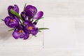 Bouquet from crocus flowers in vase on white wooden table