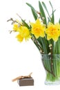 Bouquet of daffodils with catkins