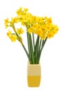 Bouquet of daffodils flower