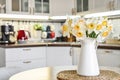 Bouquet of daffodils in interior of the kitchen Royalty Free Stock Photo