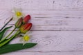 Bouquet of daffodils and red tulips on white wooden background. Greeting card for Easter, Valentine`s Day, Women`s Day Royalty Free Stock Photo