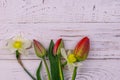 Bouquet of daffodils and red tulips on white wooden background. Greeting card for Easter, Valentine`s Day, Women`s Day Royalty Free Stock Photo