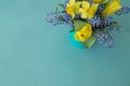 Bouquet of daffodils, tulips and Muscari.Easter. Easter eggs are blue and turquoise. Royalty Free Stock Photo