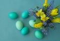 Bouquet of daffodils, tulips and Muscari.Easter. Easter eggs are blue and turquoise. Royalty Free Stock Photo