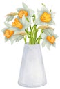 Bouquet of daffodils in a vase. Spring flowers. Watercolor botanical illustration. Birthday, Mother\'s Day. Royalty Free Stock Photo
