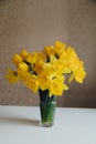 Bouquet of daffodils in vase on table