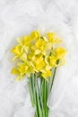 bouquet of daffodils on white flowing tulle. simple flat composition with spring flowers.