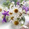 Bouquet of daisies and bluebells. Royalty Free Stock Photo