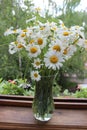 Bouquet of daisies in a glass vase