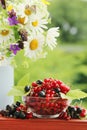 A bouquet of wildflowers and a glass bowl of red currant Royalty Free Stock Photo