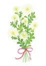 Bouquet of daisies with red ribbon. Royalty Free Stock Photo