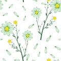 Bouquet of daisies seamless pattern white background Royalty Free Stock Photo