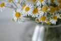 Bouquet of daisies in a vase.