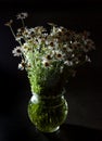 Bouquet of daisies in a vase on a black background. Field camomile. Beautiful card. Summer flowers. White flower. Place for text. Royalty Free Stock Photo