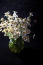 Bouquet of daisies in a vase on a black background. Field camomile. Beautiful card. Summer flowers. White flower. Place for text Royalty Free Stock Photo