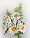 Bouquet of daisies on a white background