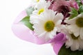 Bouquet of daisies on a white background close-up. Valentine`s Day Gift