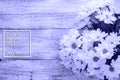 bouquet of daisies on a white wooden background in very peri trendy color of the year 2022