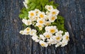 Bouquet of daisies on a wooden background. Royalty Free Stock Photo