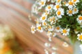 Bouquet of daisy or camomile flowers on a wooden background. Beautiful nature scene with blooming. Summer flowers background. Royalty Free Stock Photo