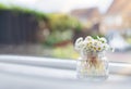 Bouquet of daisy chamomile in glass pot with morning light shining from window.Cute tiny English white flowers blooming in jar