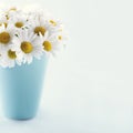 Bouquet of daisy flowers Royalty Free Stock Photo