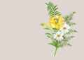 Bouquet of daisy flowers with fern leaves isolated drawing