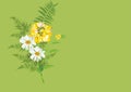 Bouquet of daisy flowers with fern leaves isolated drawing