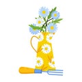 A bouquet of daisy flowers in yellow jug isolated on white background. Garden tool vector illustration in flat style. Wildflowers Royalty Free Stock Photo