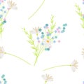 Bouquet of the daisy, forget me not and chamomile spring flowers. Easter or summer country background, seamless pattern Royalty Free Stock Photo