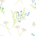 Bouquet of the daisy, forget me not and chamomile spring flowers. Easter or summer country background, seamless pattern Royalty Free Stock Photo