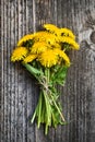 Bouquet of dandelion flowers, yellow wildflowers on the background of an old board Royalty Free Stock Photo