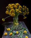 Bouquet of dandelion flowers, yellow wildflowers on wooden table rustic Royalty Free Stock Photo