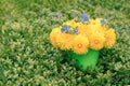 Bouquet of dandelions and blue flowers in a bucket on the grass. Copyspace. Selective focus. Copy space.