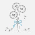 A bouquet of dandelions with a blue ribbon on a light background, vector image Royalty Free Stock Photo