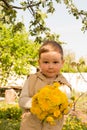 Bouquet of dandelions in children`s hands. hands holding a dandelion flowers bouquet in meadow. Selective focus Royalty Free Stock Photo