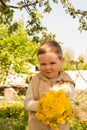 Bouquet of dandelions in children`s hands. hands holding a dandelion flowers bouquet in meadow. Selective focus Royalty Free Stock Photo