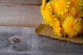 Bouquet of dandelions on vintage wooden background, medicinal herbs, phytomedicine , traditional medicine, herbalism concept