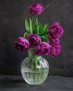 bouquet of dark red lilac tulips in glass vase on dark background. flower bouquet in vase on table Royalty Free Stock Photo