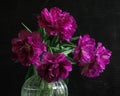 bouquet of dark red lilac tulips in glass vase on dark background. flower bouquet in vase on table Royalty Free Stock Photo